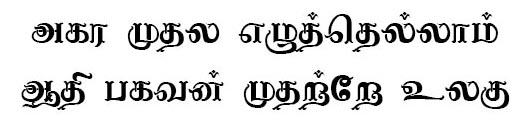 Nagananthini Tamil Stylish Font download