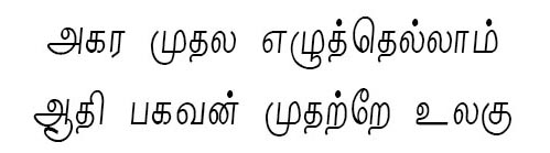 Nalini Tamil Font download
