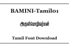 BAMINI-Tamil01 Stylish Tamil Font