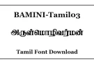 Bamini Tamil03 Stylish Tamil Font